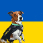 Іконка сервера Patronivka