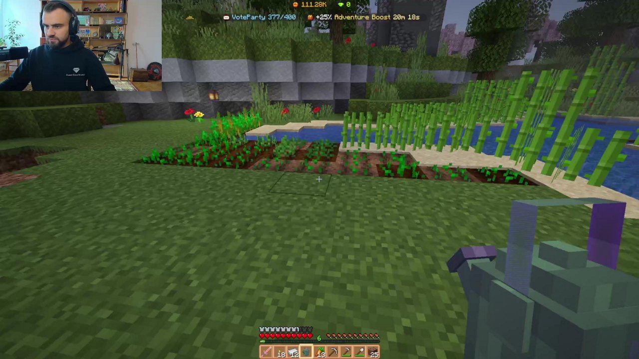 Stream snapshot