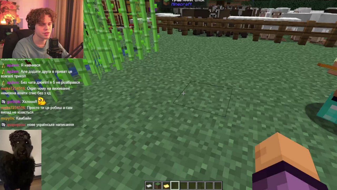 Stream snapshot