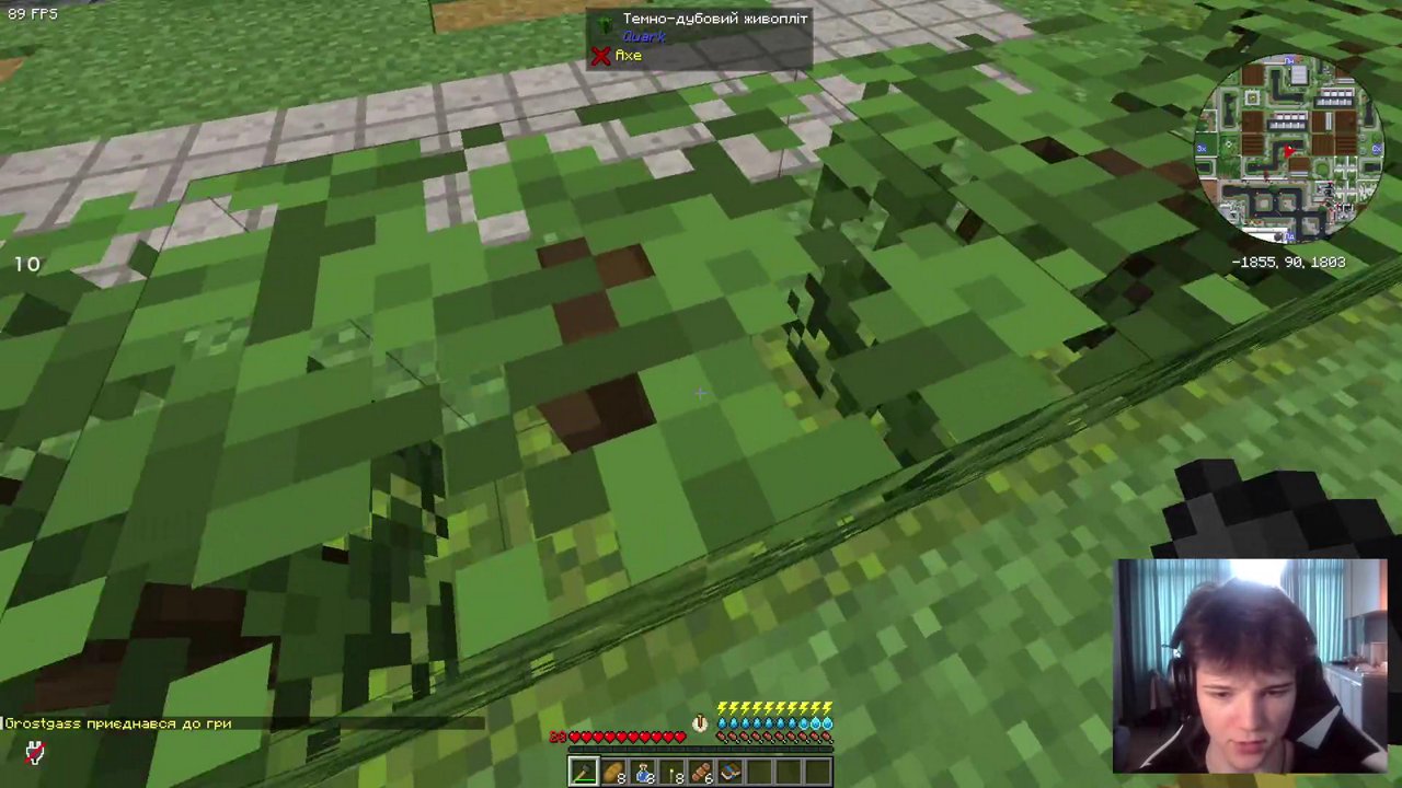 Stream snapshot