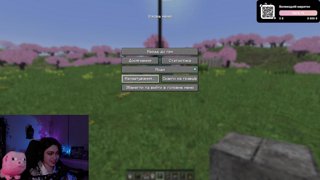 Stream snapshot