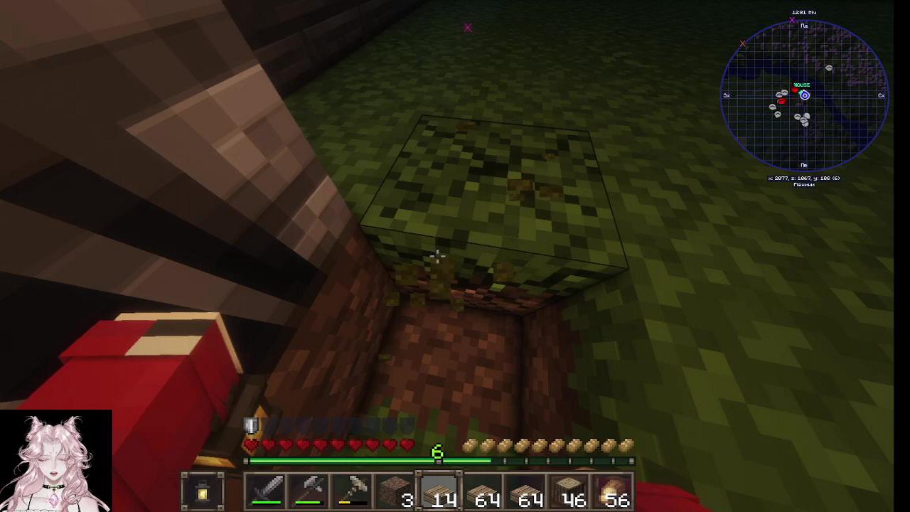Stream snapshot