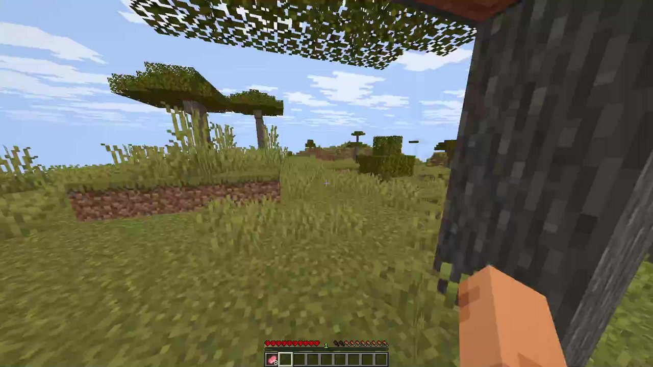Stream snapshot