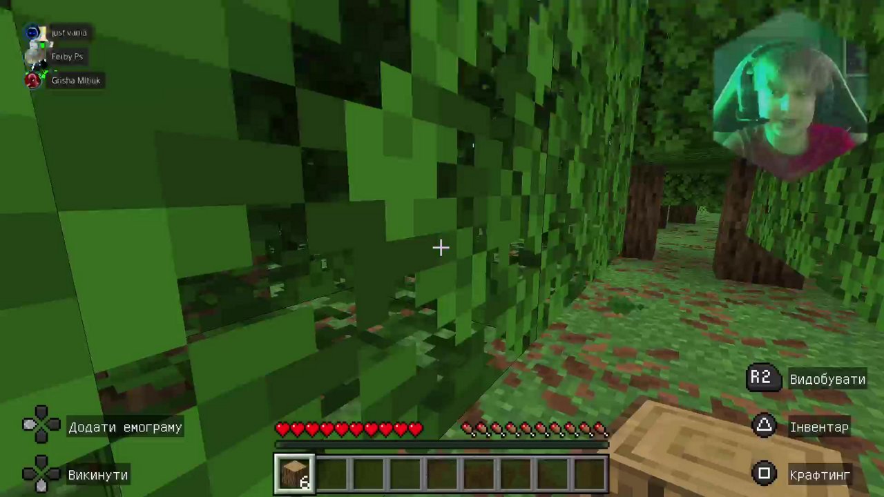 Stream snapshot
