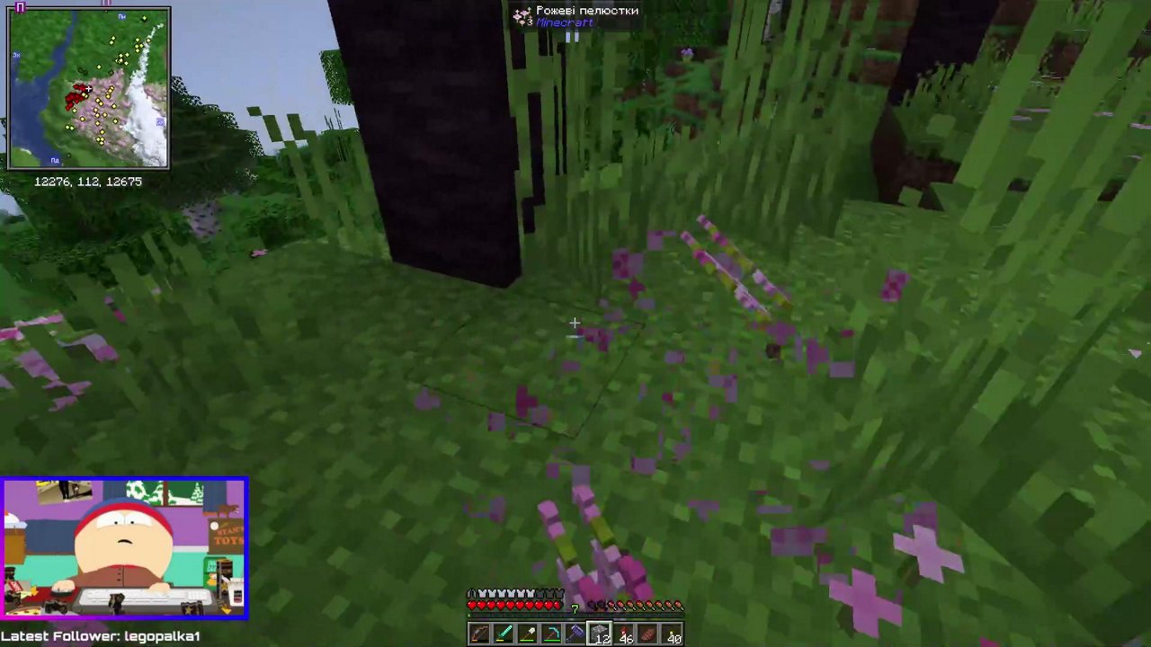 Stream snapshot