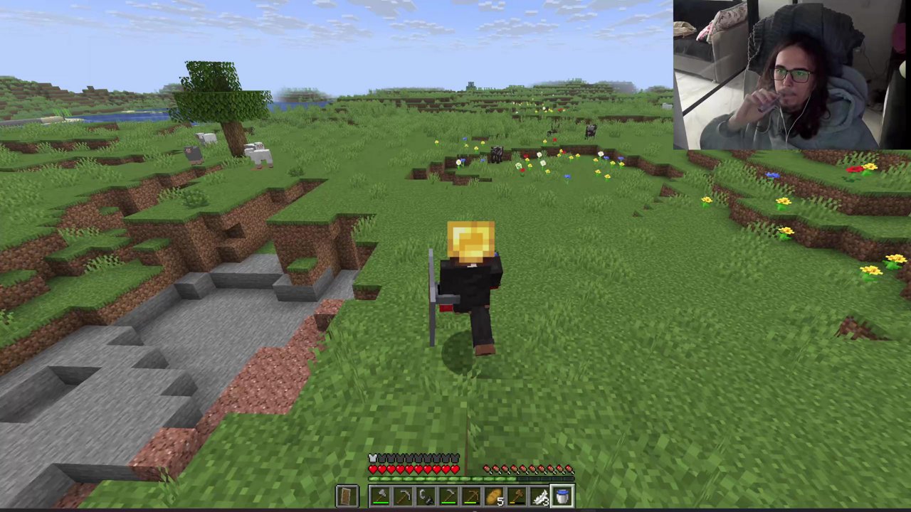 Stream snapshot