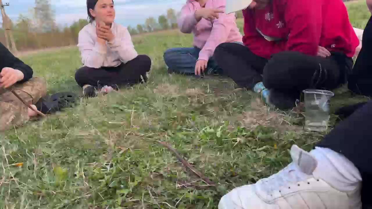 Stream snapshot
