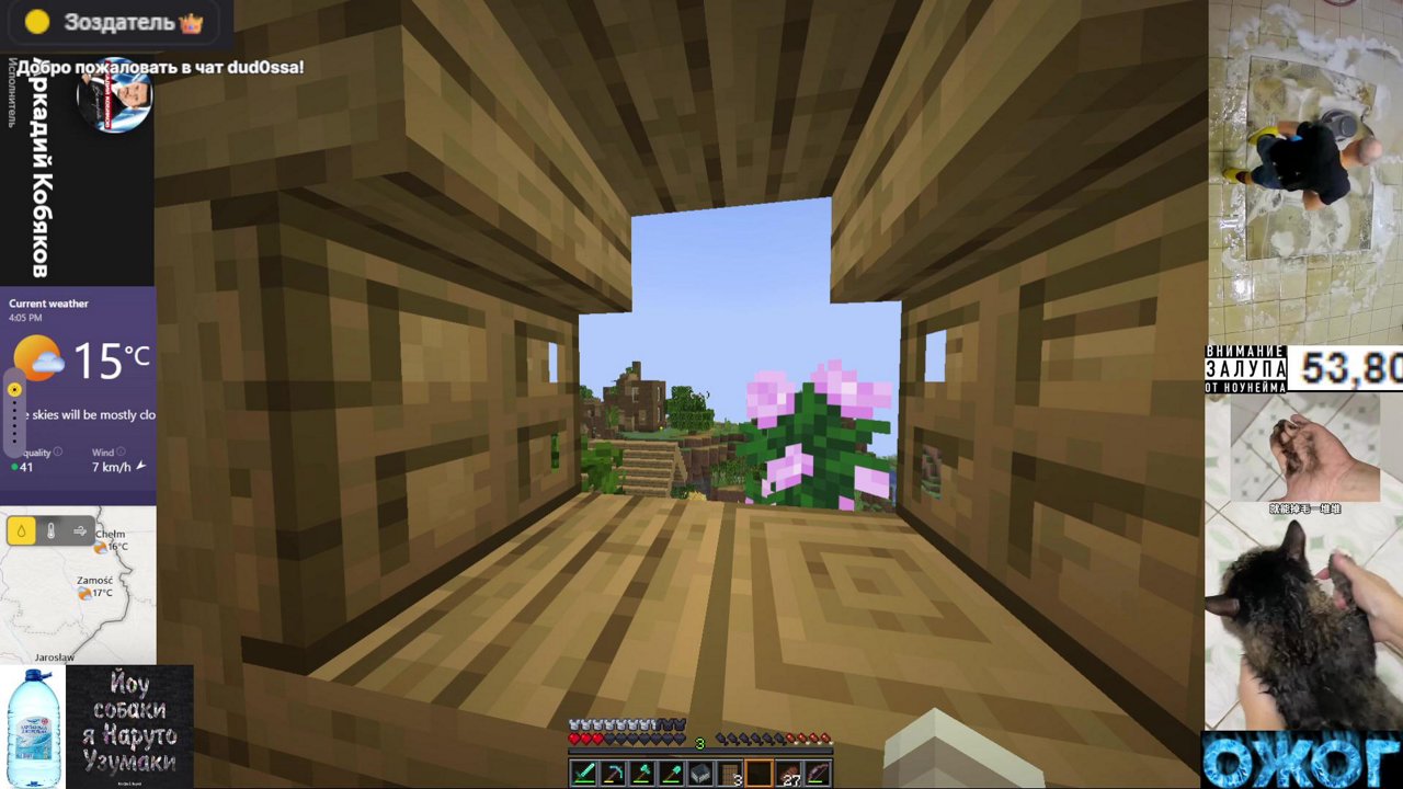 Stream snapshot