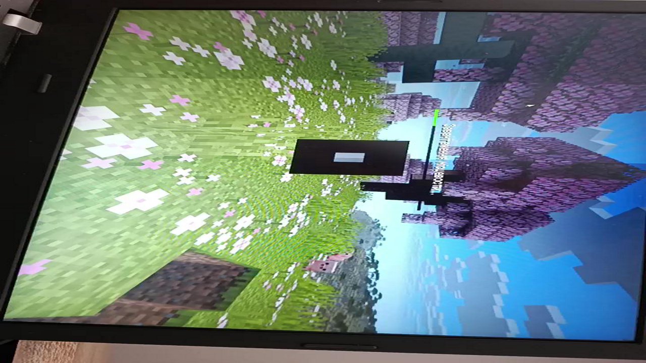 Stream snapshot