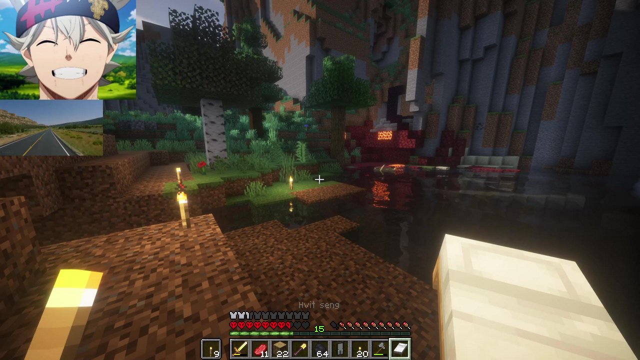 Stream snapshot