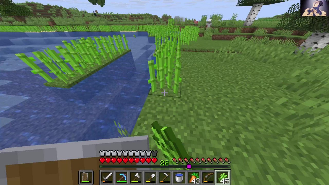 Stream snapshot