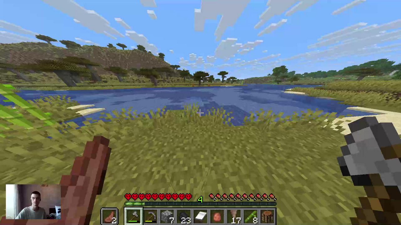 Stream snapshot
