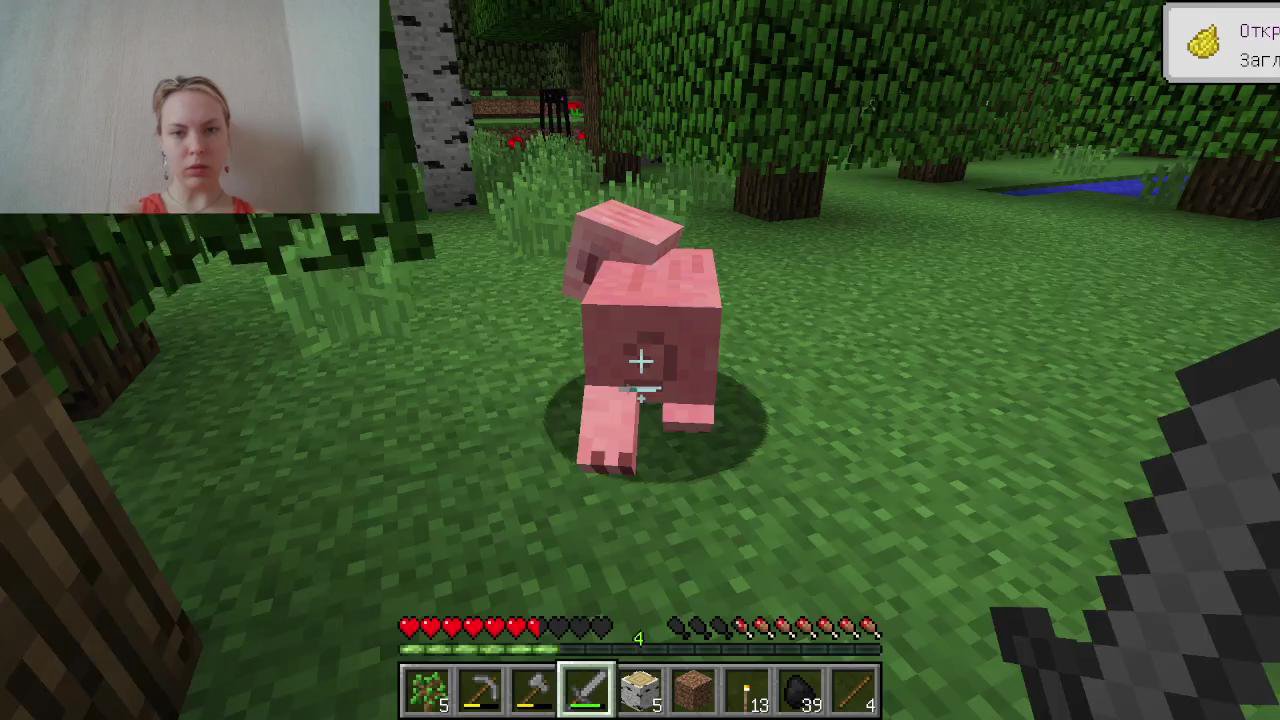 Stream snapshot