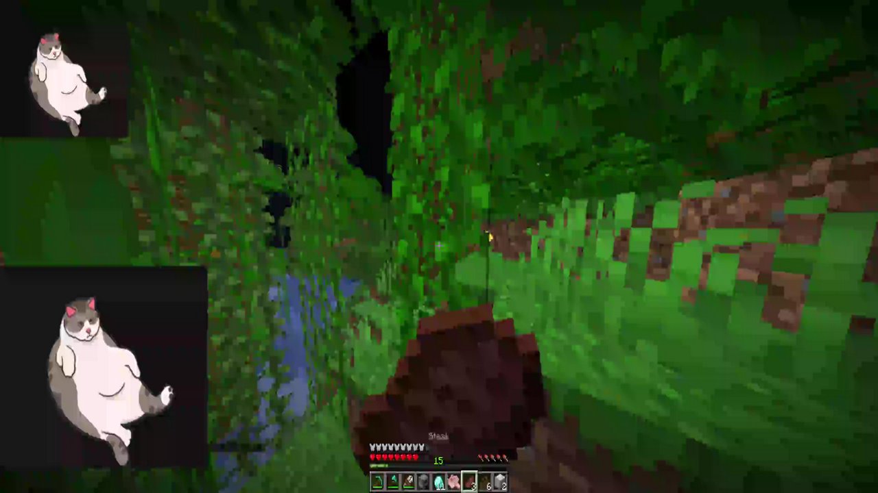 Stream snapshot