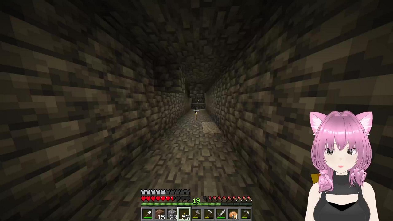 Stream snapshot