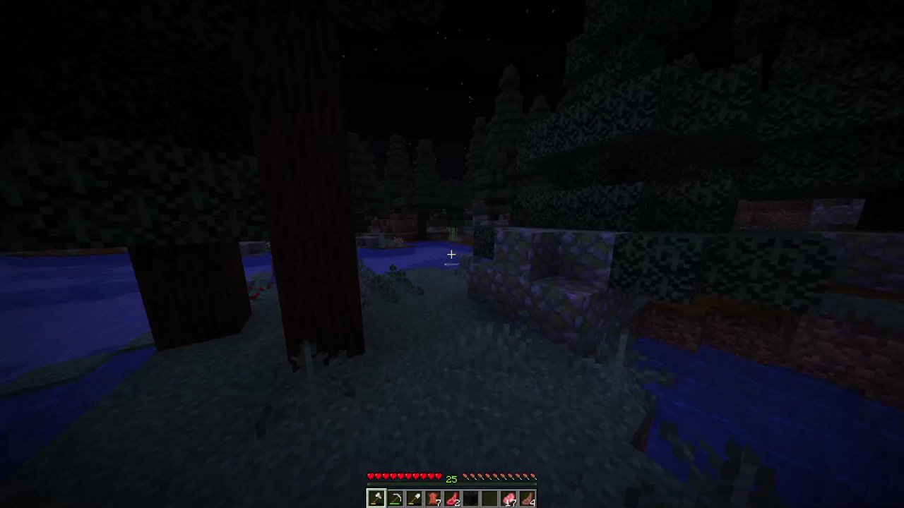 Stream snapshot