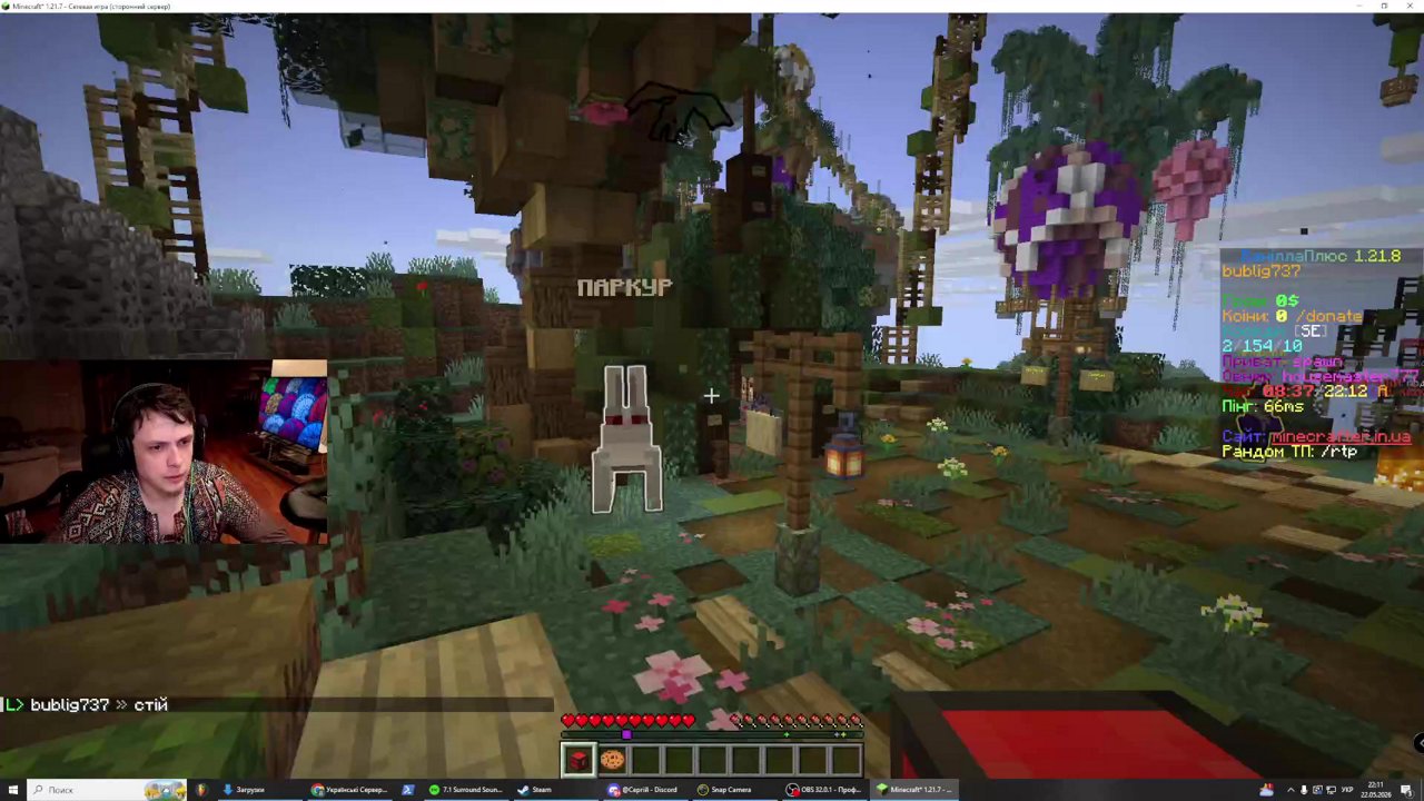 Stream snapshot