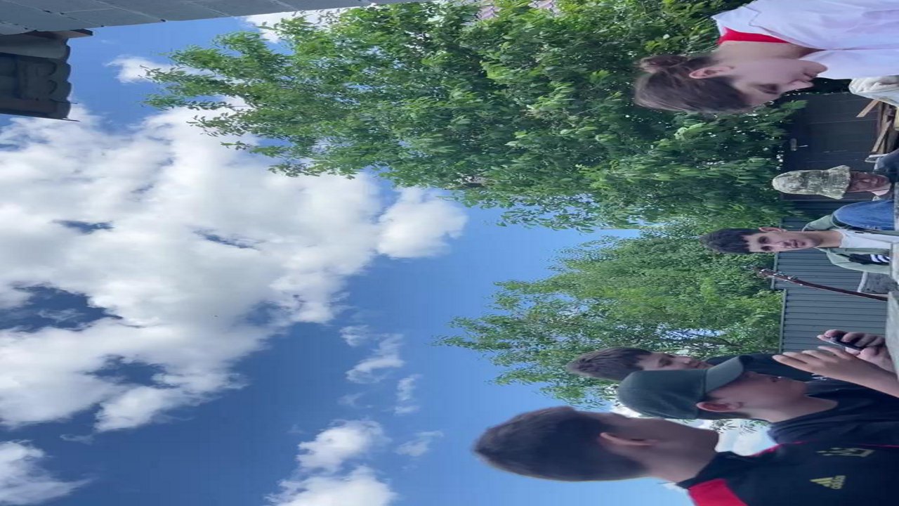 Stream snapshot