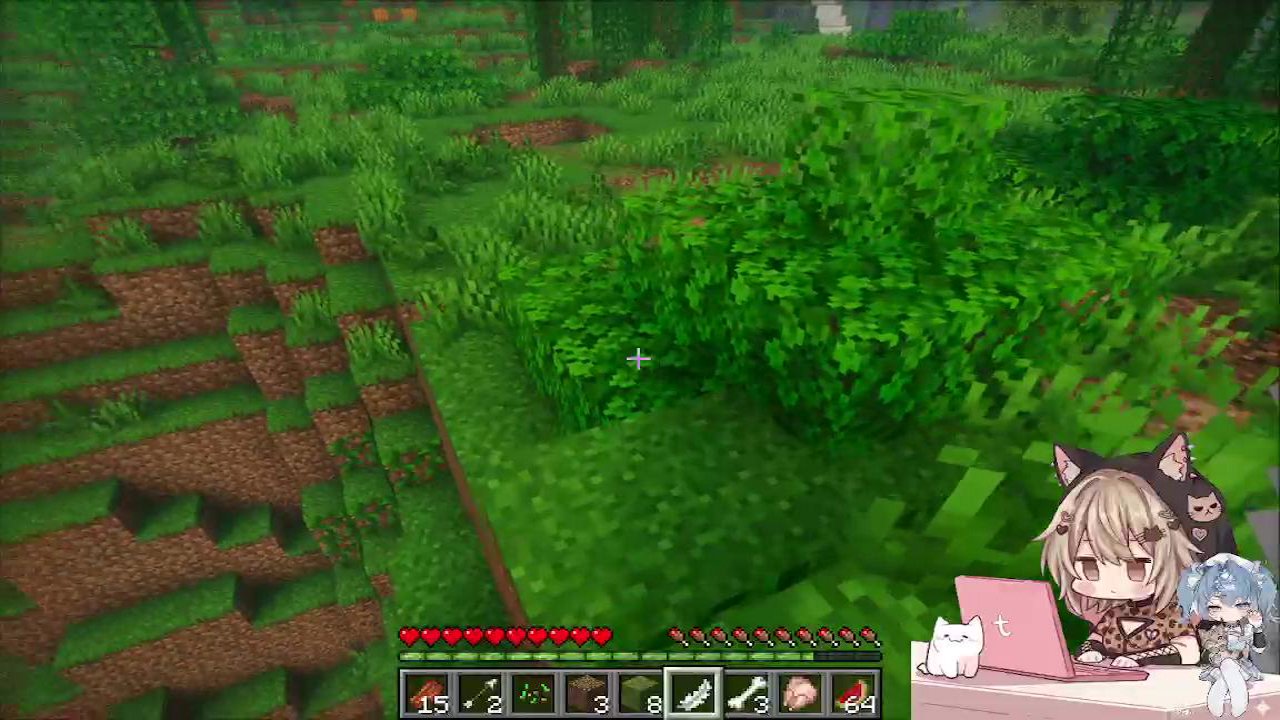 Stream snapshot