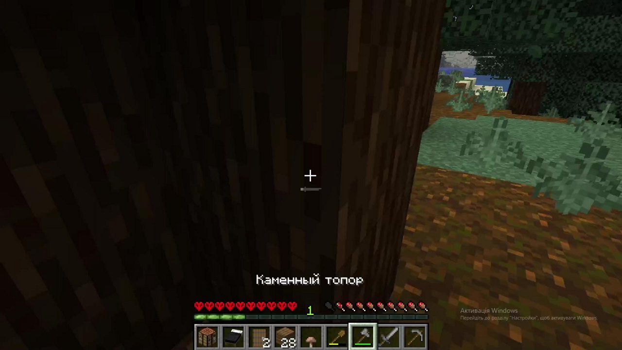 Stream snapshot
