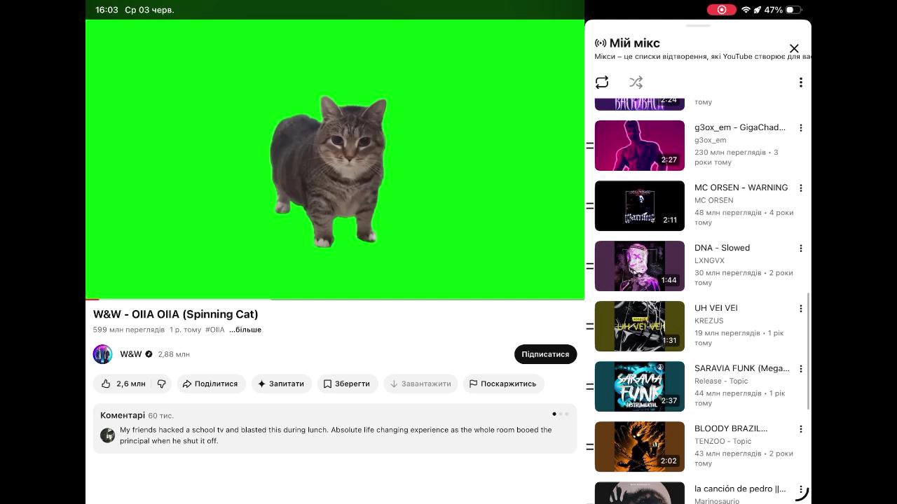 Stream snapshot