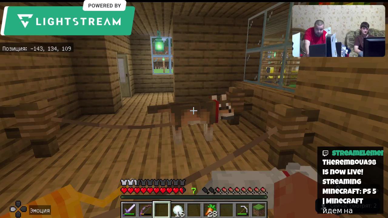 Stream snapshot