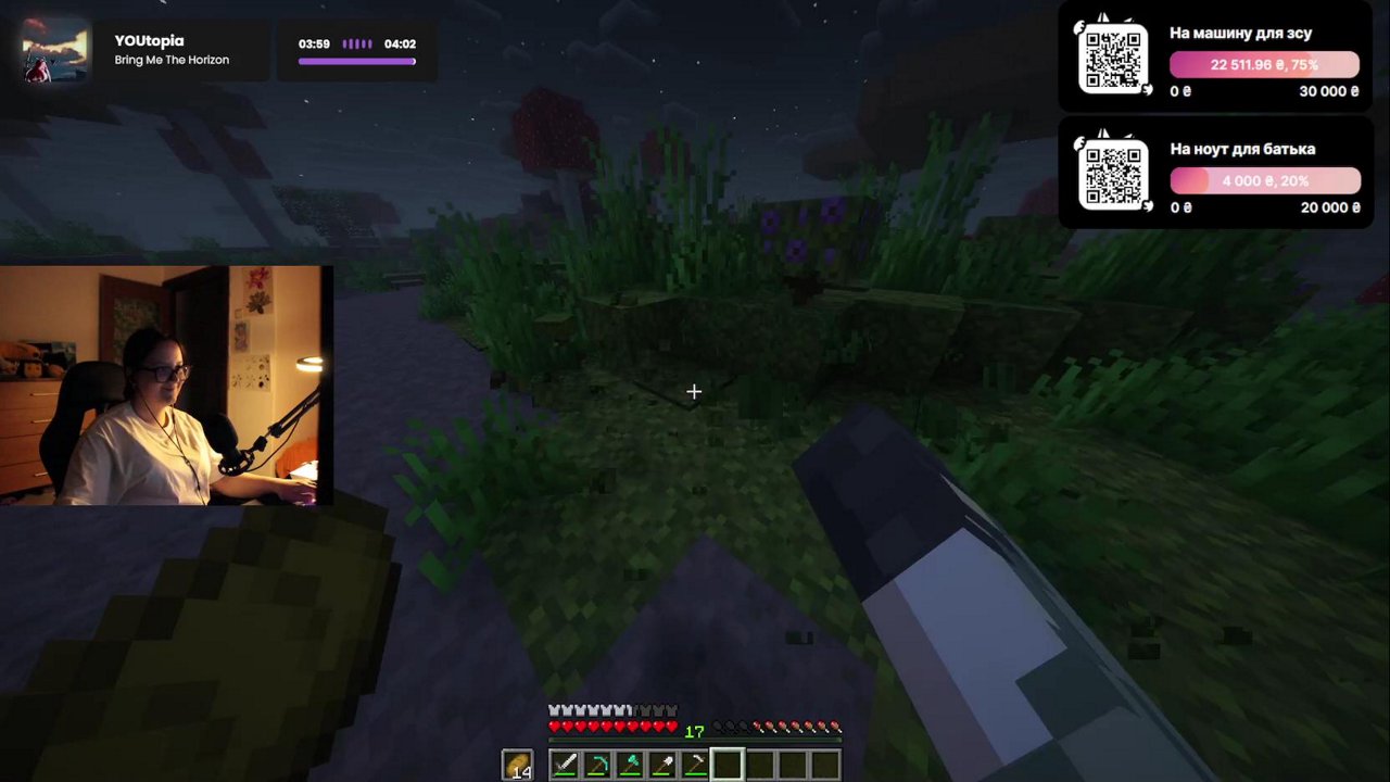 Stream snapshot