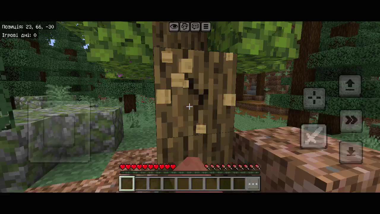 Stream snapshot