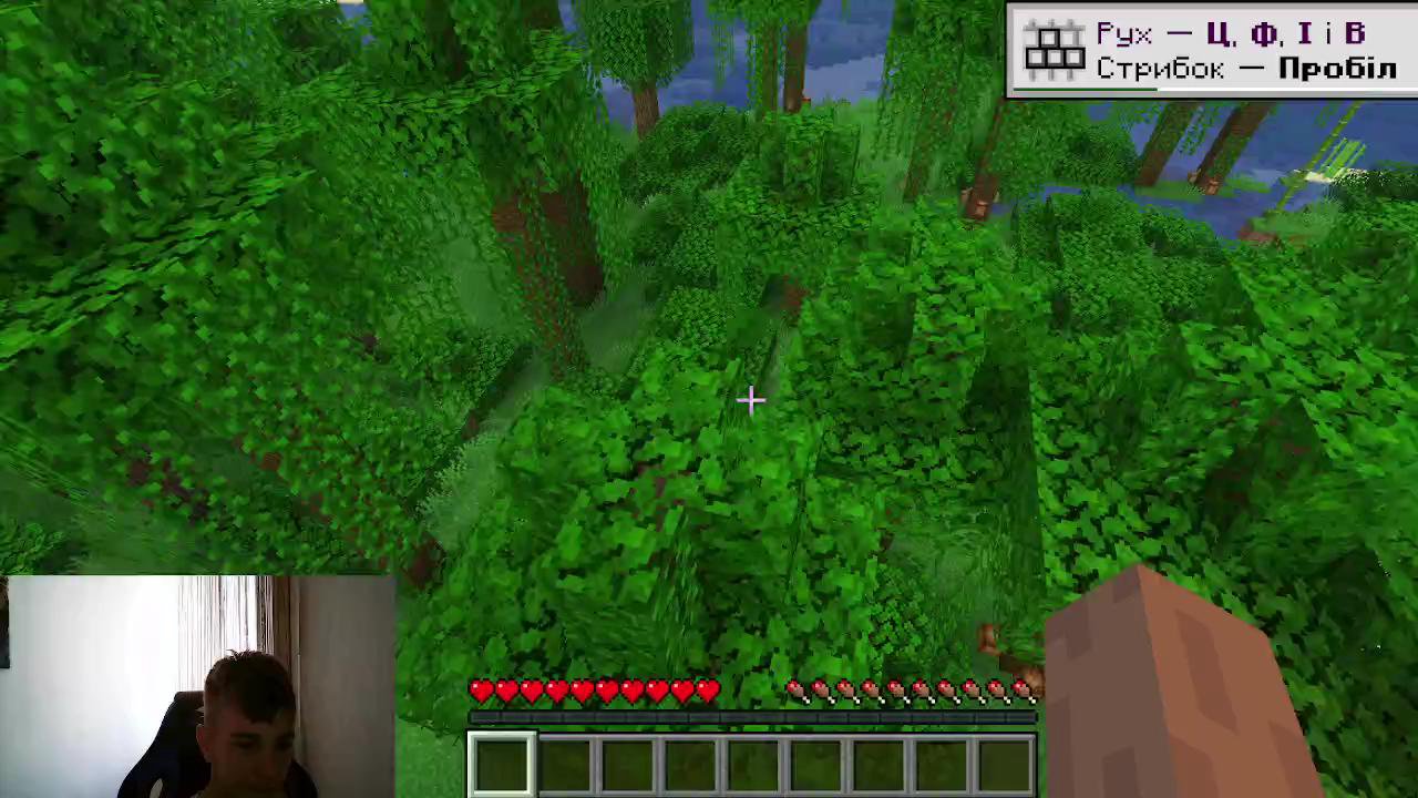 Stream snapshot