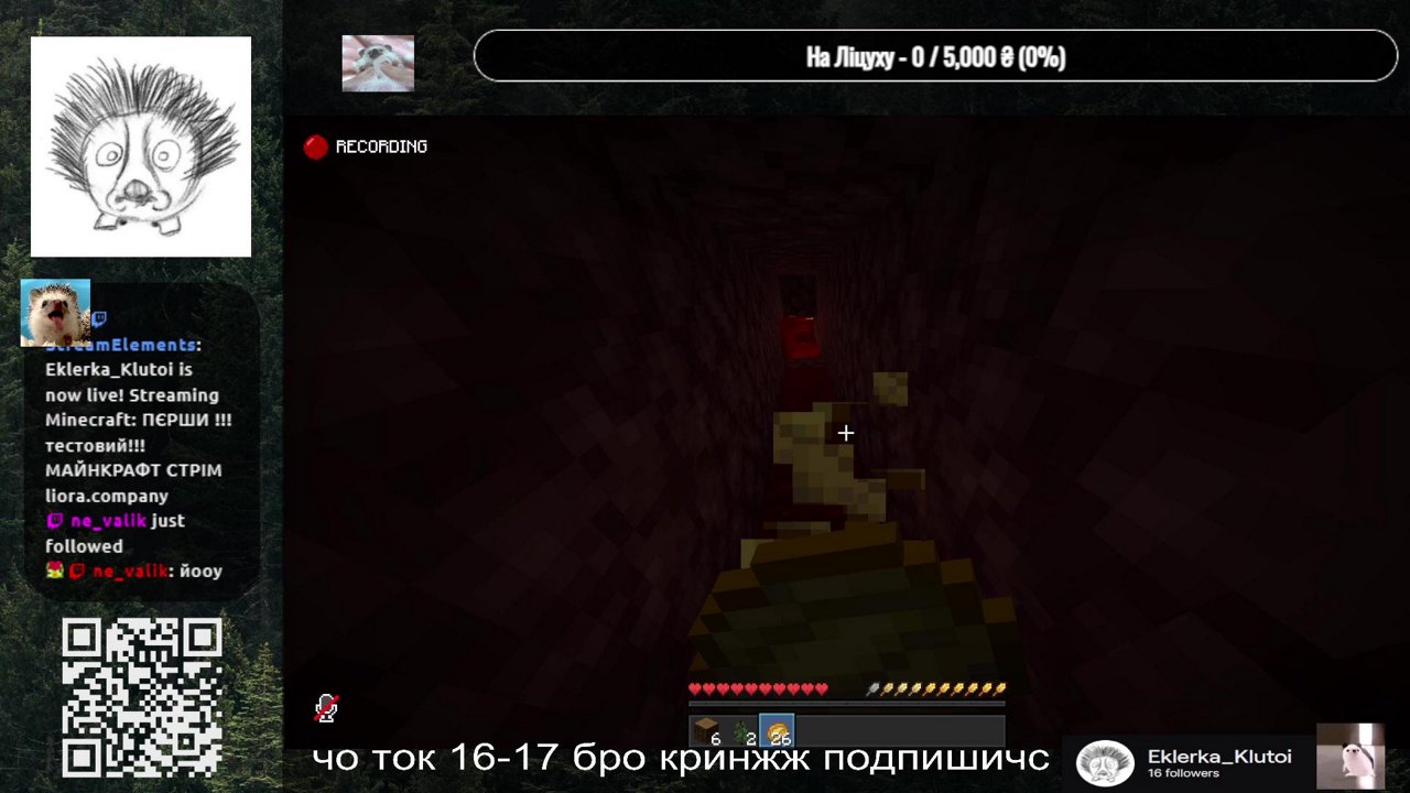 Stream snapshot