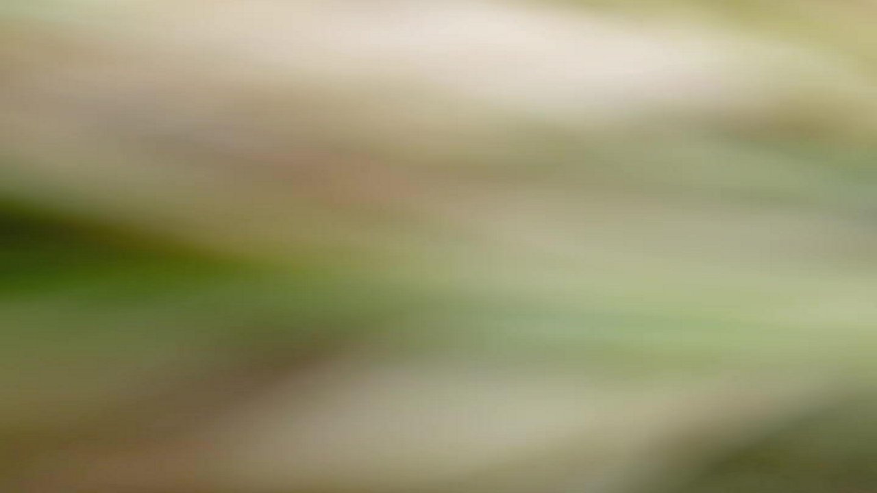 Stream snapshot