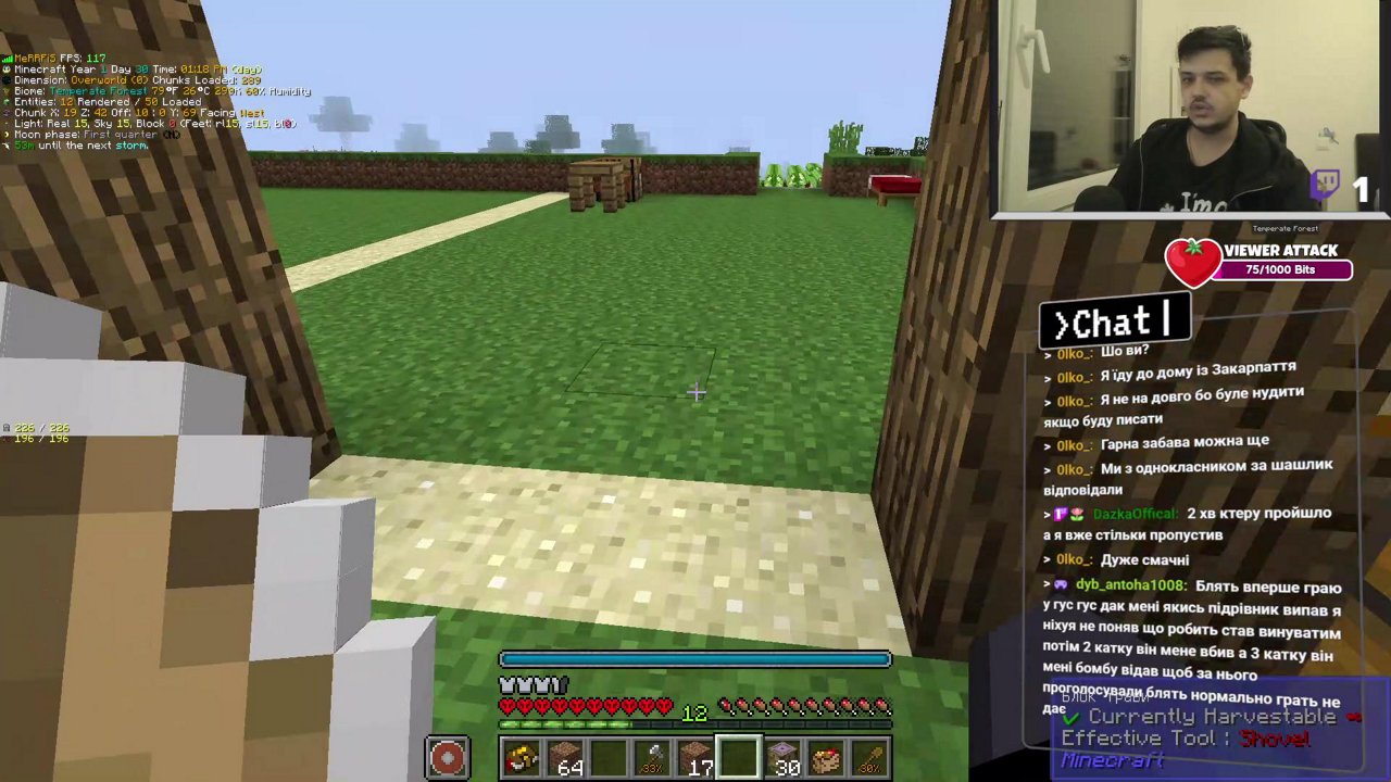 Stream snapshot