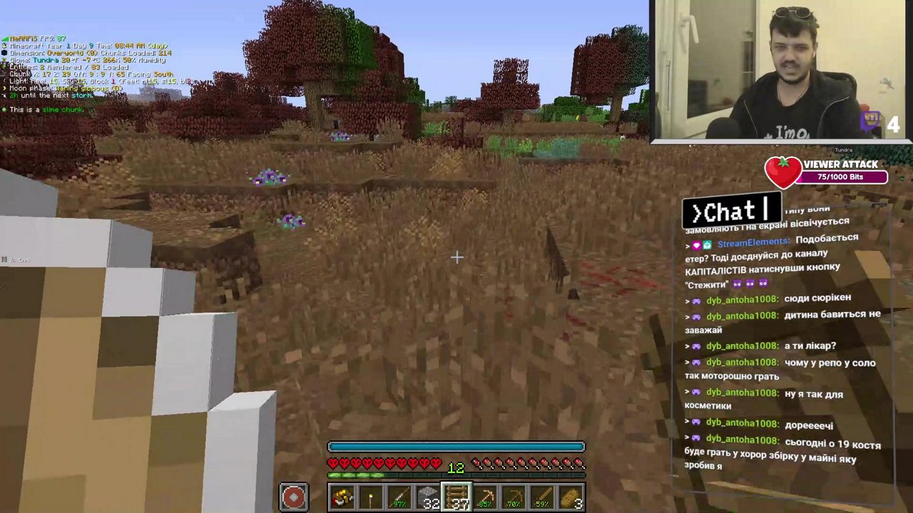 Stream snapshot