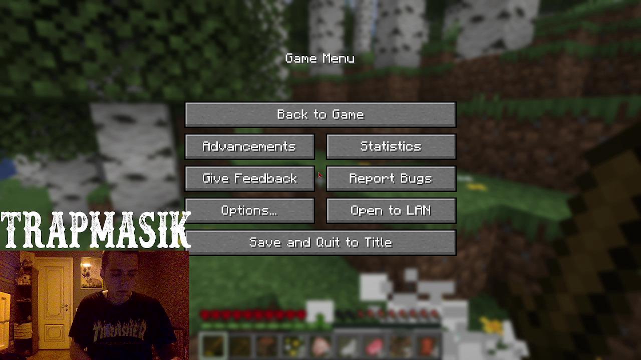 Stream snapshot