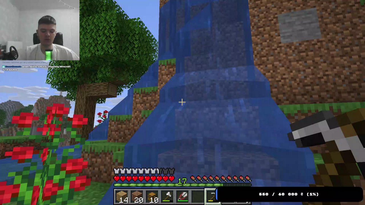 Stream snapshot