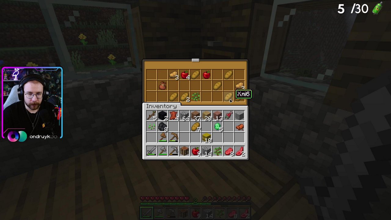 Stream snapshot