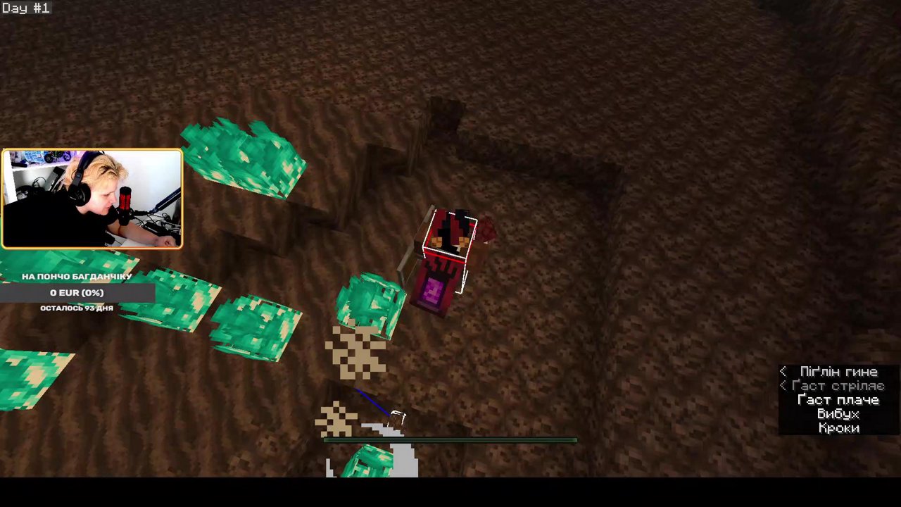 Stream snapshot