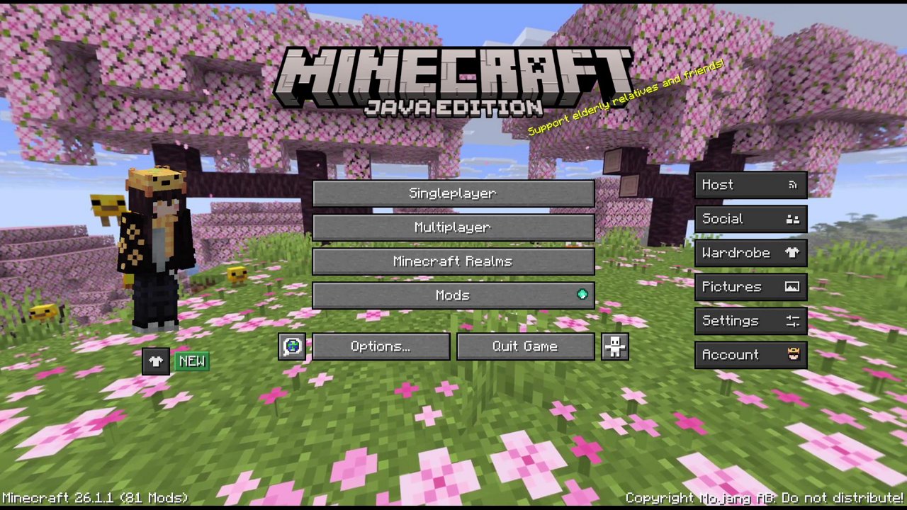 Stream snapshot