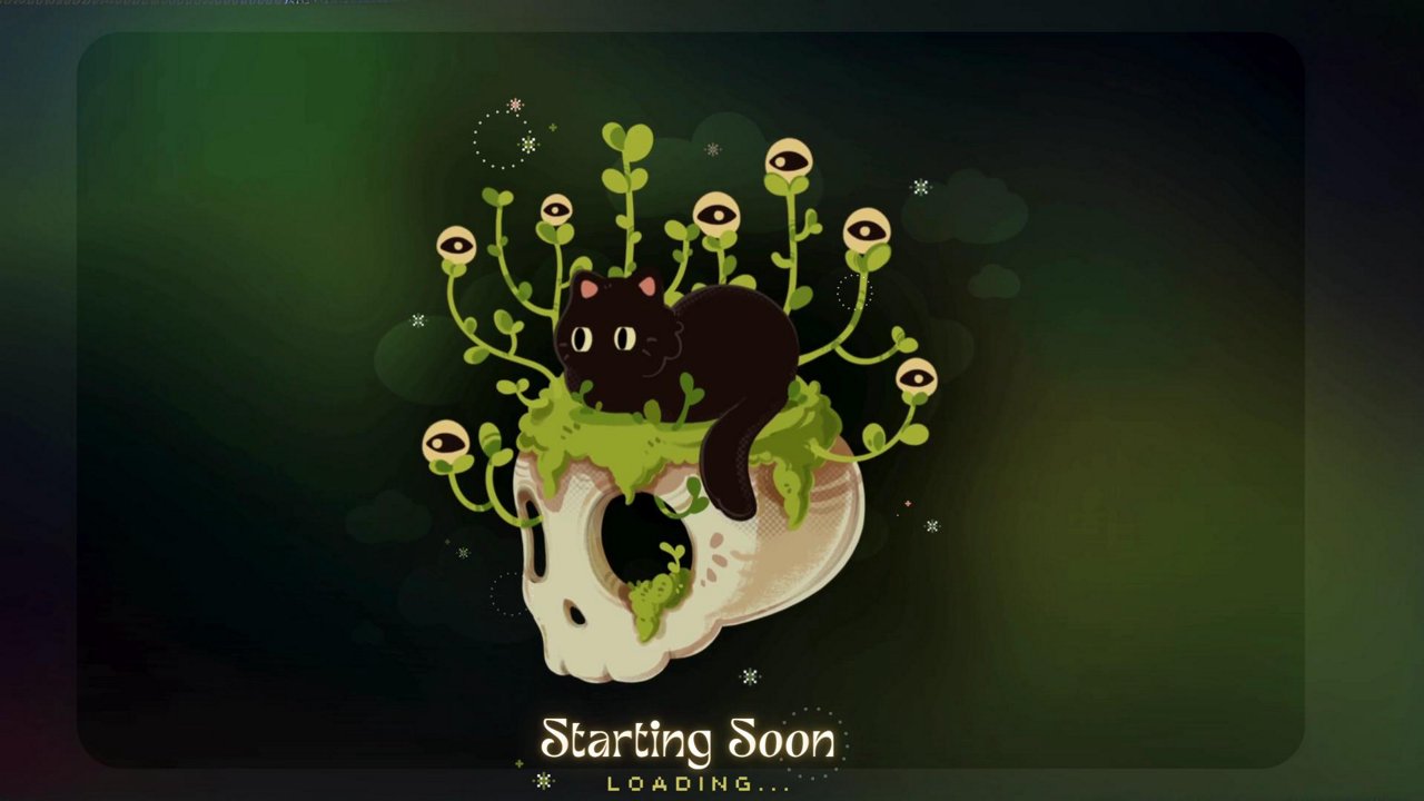 Stream snapshot